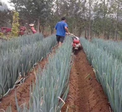 點擊查看詳細信息<br>標題：開溝機　 閱讀次數(shù)：2166