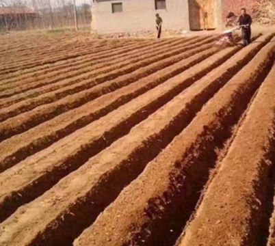 點擊查看詳細信息<br>標題：開溝機　 閱讀次數(shù)：2229